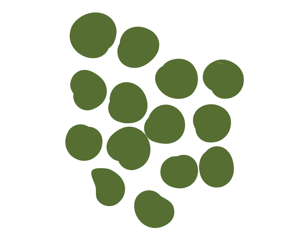 ภาพแสดงถึงจุดสีเขียวหลายจุดที่สร้างลวดลายเป็นกลุ่ม หมายถึงการสร้างสรรค์จากการพบกันของเส้นทางการเรียนรู้ต่างๆ